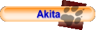Akita