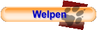 Welpen