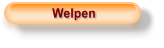 Welpen