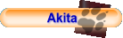 Akita